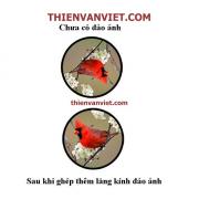 Cách kết hợp kính thiên văn thành ống nhòm khủng